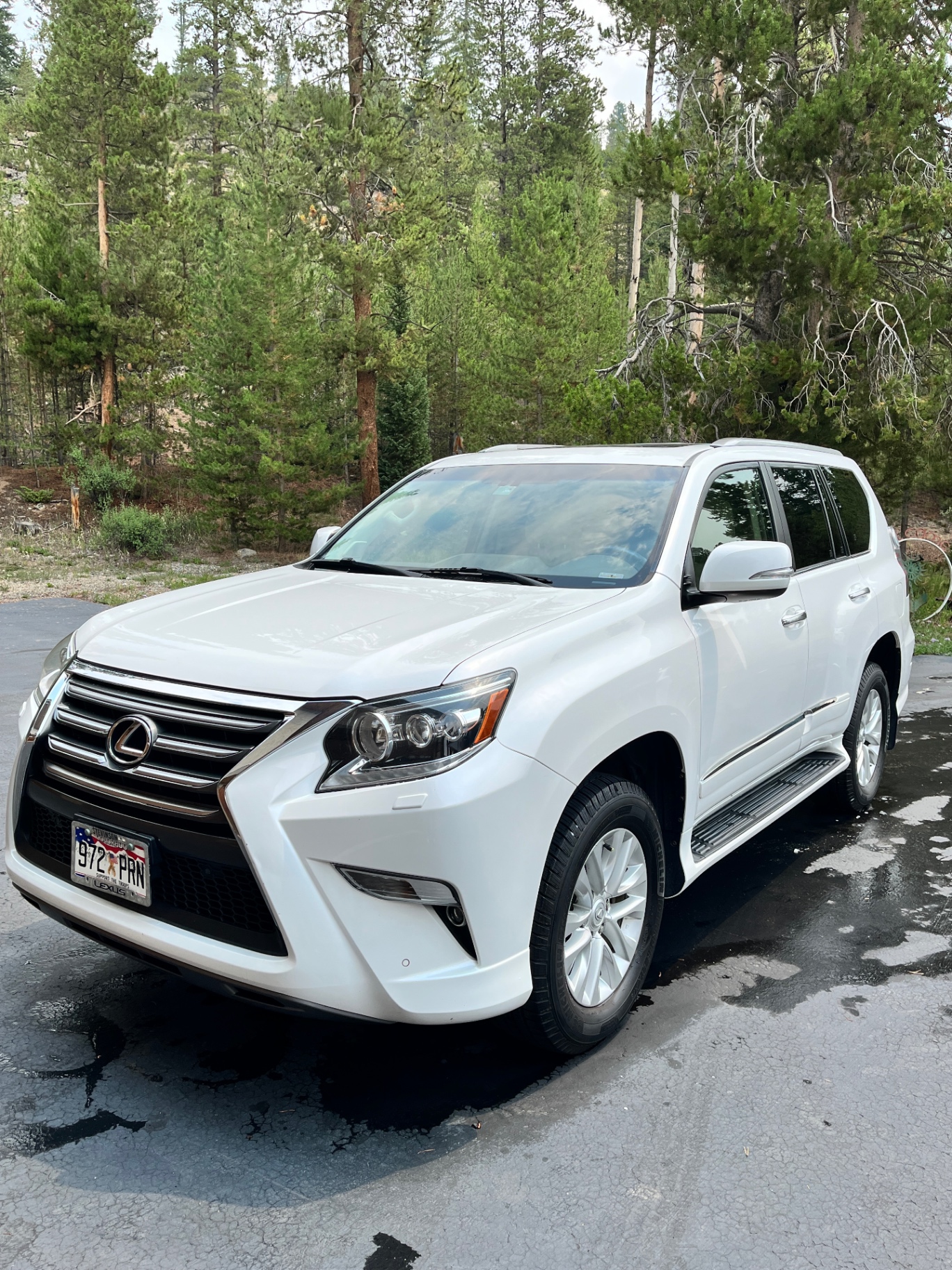 Lexus GX exterior after a Vortan detail