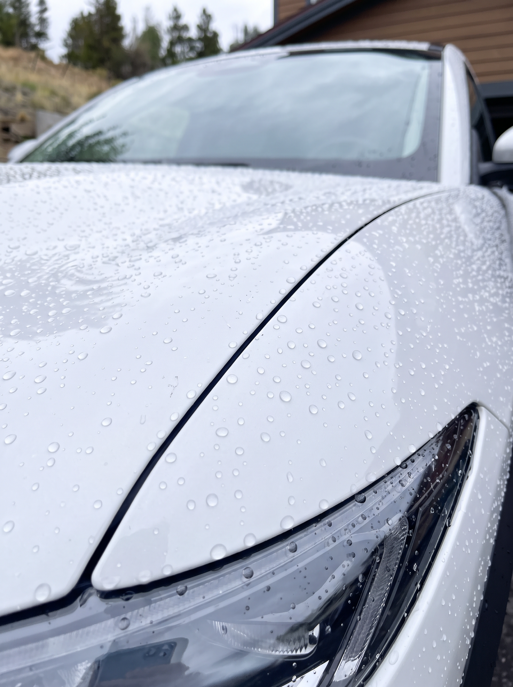 Water beading on a white Mustang Mach-E hood after the 3-6 month sealant